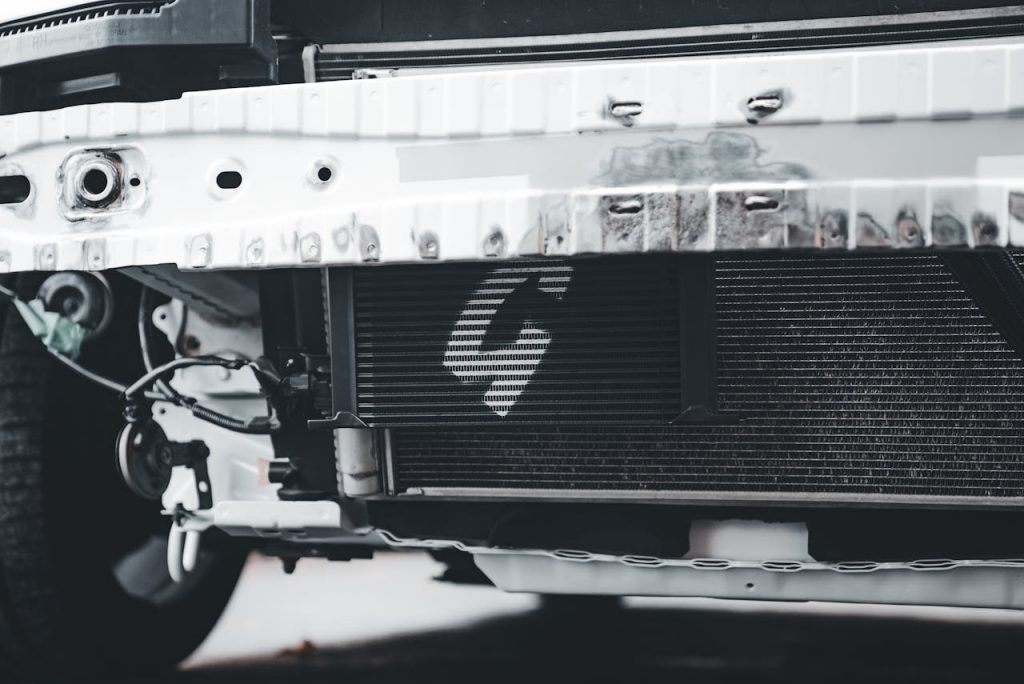 pexels photo 34351909 pexels-photo-34351909.jpeg